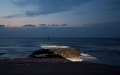 Visuel paysage