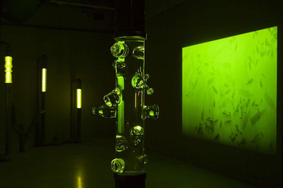 Lia Giraud, "Photosynthèse", 2020