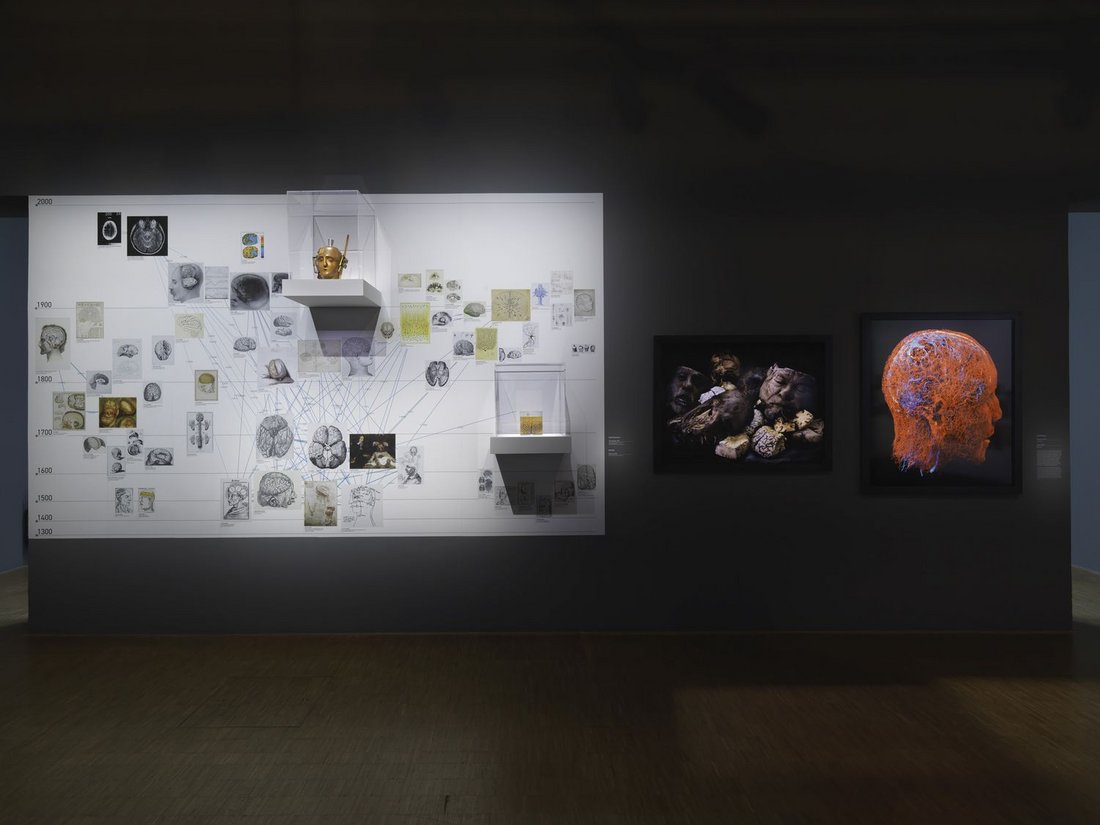 View of the exhibition "Neurones", 2020