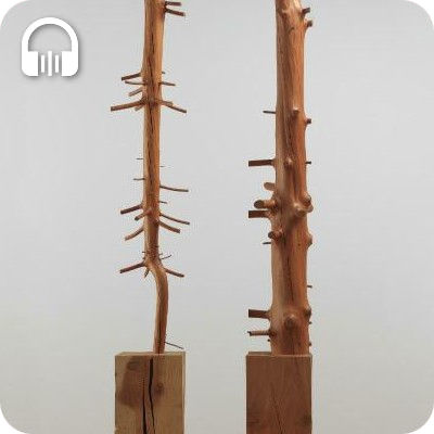 Podcasts "Art et écologie" : oeuvre de Giuseppe Penone (détail)
