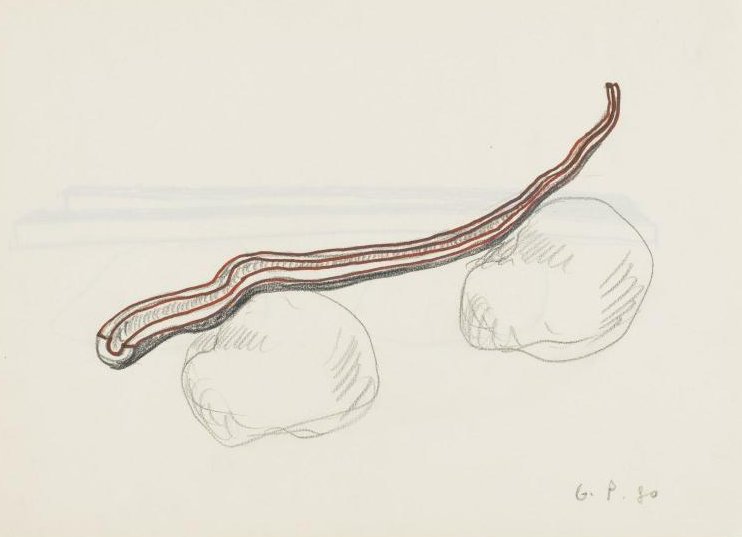 Giuseppe Penone, « Essere fiume », 1980, Mine graphite et feutre sur papier, 24 x 32,5 cm, © Centre Pompidou / Photo : C. Laulanne / Dist. Rmn-Gp